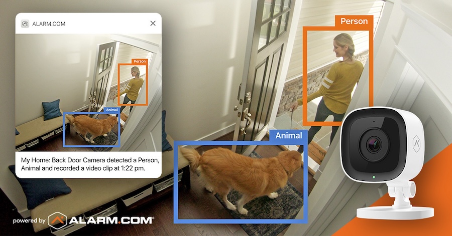 Alarm.com camera in foreground. A surveillance feed shows a woman and dog in the background.