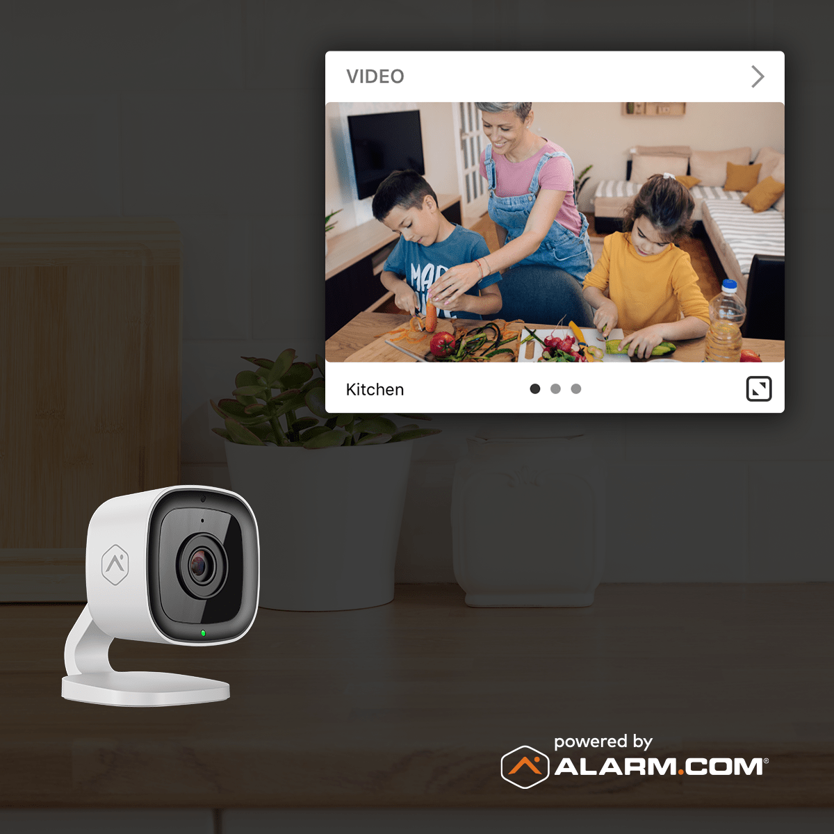 Alarm.com Camera