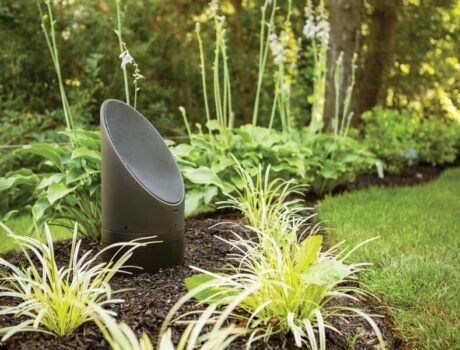 A Coastal Source outdoor speaker among foliage in a backyard.