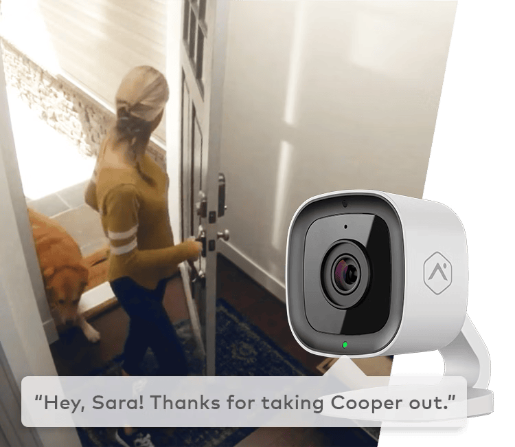 A person captured on Alarm.com’s indoor camera, showing activity detection with a friendly notification about taking care of a pet.