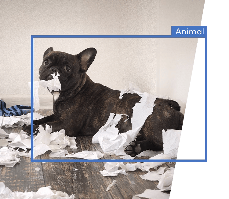 A pet caught on camera surrounded by torn items, with Alarm.com’s video analytics identifying and categorizing the activity.